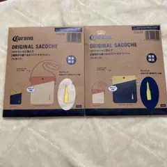 Item thumbnail for item 3edea5cf-e0e8-4180-bd08-7f2184762b79