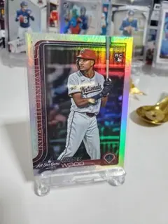 Item thumbnail for item bbea7077-91aa-4ef5-9136-fe58eec942b0