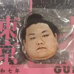 大相撲ガチャ お相撲さんのフェイスヘアピン　美ノ海