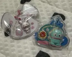 サンリオ パッケージチャーム ハンギョドン ウィッシュミーメル