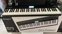 2026年最新】roland go piano 61の人気アイテム - メルカリ