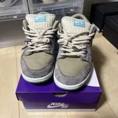 Nike SB Dunk Low Pro 