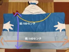 Item thumbnail for item 05cbf668-0781-463d-983b-4366ed2ad4ad