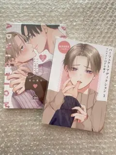 特典のみ パーフェクトアディクション 小冊子