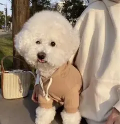 ペットウェア 猫 犬 フード付き 秋冬  ペット服 ドッグウェア 犬服