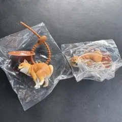 ふんばりーぬ 柴犬