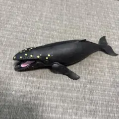 ザトウクジラ くじら　&co デアゴスティーニ　アンドコのサムネイル