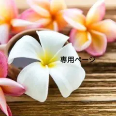 新作　新品　COACH　折り財布　トライフォールド コイン ウォレット　メンズ