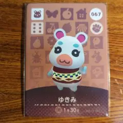 あつ森　amiibo　アミーボカード　ゆきみ