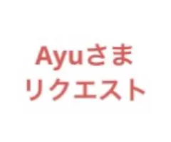 Ayu様 リクエスト 2点 まとめ商品