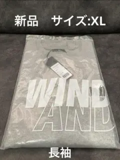 ウィンダンシー  ヒステリックグラマー  ロンT