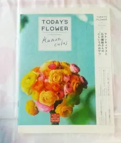 Item thumbnail for item 069e3b58-8d69-4f6c-b255-2b2c3b8b4ea2