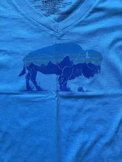 値下げ！パタゴニアＴシャツ