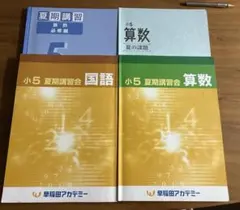 早稲田アカデミー小5 春期講習会 国語 算数 社会 理科 4科セット