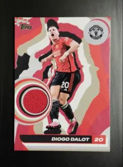 Item thumbnail for item a0725d81-5199-47a7-bf7a-91066d9a6785