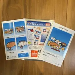 サンリオ 証明写真風スマロイド KIRIMIちゃん