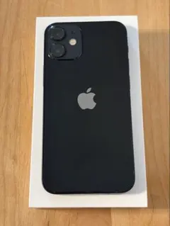 【極美品】iPhone12 mini ブラックSIMフリー 64GB 本体