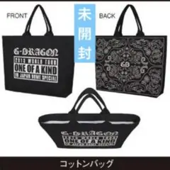 G-DRAGON 2013 WORLD TOUR コットンバッグ　ジヨン