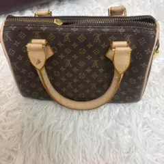 Louis Vuitton モノグラム ミニスピーディのサムネイル