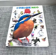 小学校の図鑑 NEO 鳥