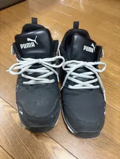 Item thumbnail for item 21a06932-ba0b-4d2a-acfd-f1e51be57fa1