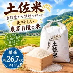 お試し値引きキャンペーン！ 五島産 令和8年新米 夏ほのか ☆塩の