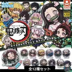 全12種セット　鬼滅の刃　キャラばんちょうこう缶バッジ　弐ノ型　ガチャ