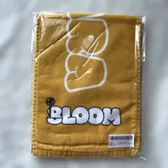 Item thumbnail for item 865d9db9-eda5-4487-8889-aa4f17ae8d0d