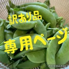 ゆぅ 様専用ページ