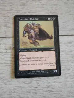 ★隆盛なるエヴィンカー 英語1枚