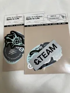 &TEAM Back to Life ステッカーセット