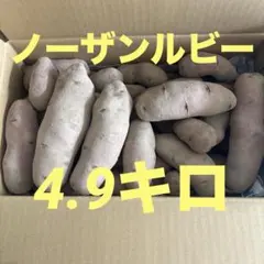 北海道産ノーザンルビー　訳あり小玉　20kg 北海道産ノーザンルビー 訳あり小玉 20kg - メルカリ