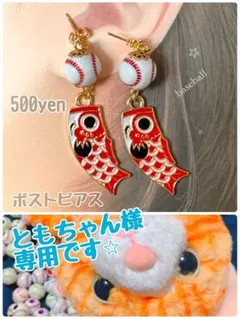 ともちゃん様　専用ページです⭐︎