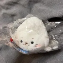 しろたん 羽田限定 JAL ぬいぐるみ マスコット キーホルダー