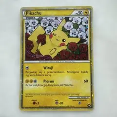 ARS10+ 【世界に13枚】ピカチュウワールド プロモ　ポーランド 2025年最新】ポーランド ピカチュウの人気アイテム - メルカリ