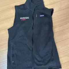 patagonia ベスト