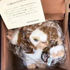 k)トミー グレムリン 大 ギズモ フィギュア ソフビ 1984年 日本製