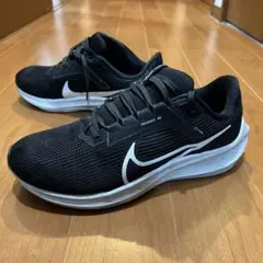 美品 ナイキNike Pegasus 40 WIDE ペガサス ワイド26.0