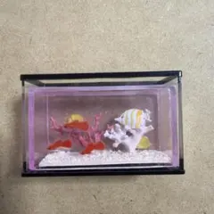 リーメント　水槽　熱帯魚　ミニチュアのサムネイル