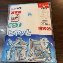 GUNZE 冷感 半袖U首Tシャツ 2枚組 M