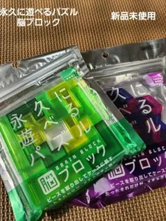 永久に遊べるパズル　脳ブロック　レベル4×レベル5　新品未開封　2つセット✨
