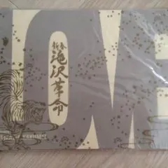 新春滝沢革命 パンフ