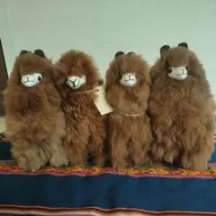 アルパカぬいぐるみ(中)