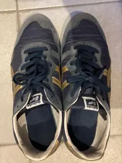 Item thumbnail for item b2b59bda-5f75-4df8-a322-f454bf26ee85