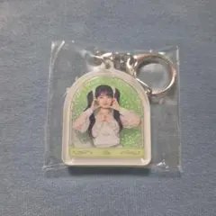 IVE レイ ランダムキーホルダー