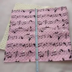 Item thumbnail for item 49eef430-78d0-4846-b344-d8cb8d90dc4e