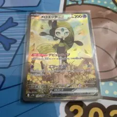 あるじゃーのん様 リクエスト 2点 まとめ商品