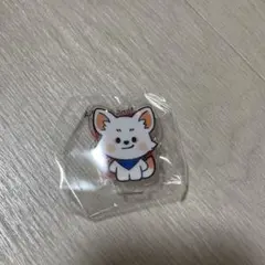 PSYCHICFEVER 小波津志　ミニアクリルスタンド　 会場ガチャ