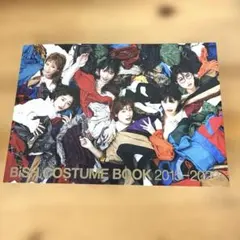 BISH チェキセット 2026年最新】Bish チェキの人気アイテム - メルカリ