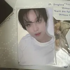 NCT DREAM ISTJ ヘチャン フォトイベントトレカ everline